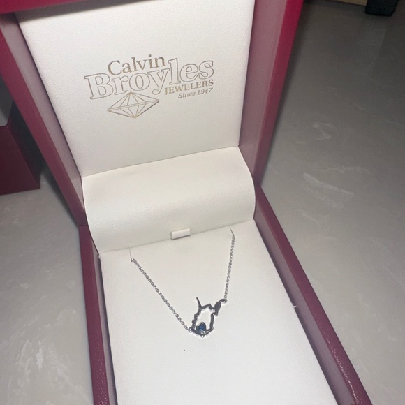 Calvin broyles West Virginia necklace - Picture 1 of 3